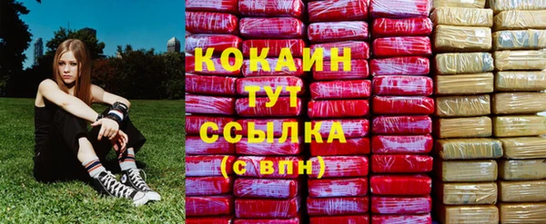 стаф Вяземский