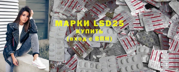 стаф Вяземский