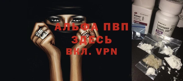 стаф Вяземский