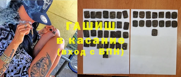 стаф Вяземский