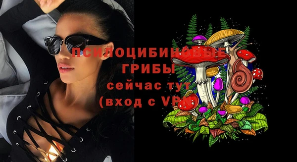 стаф Вяземский