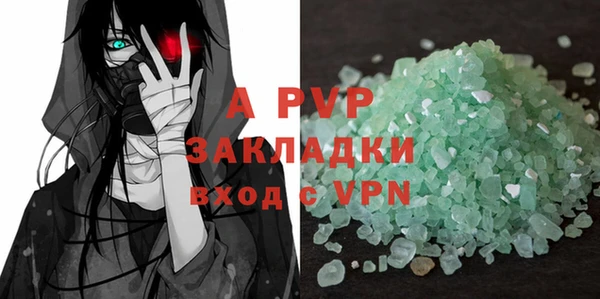 стаф Вяземский