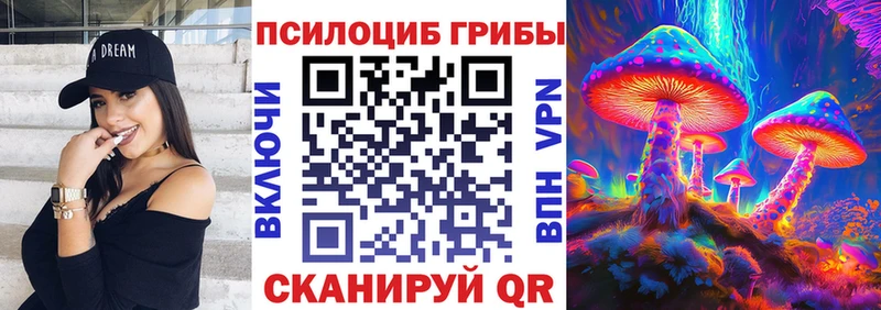 Галлюциногенные грибы MAGIC MUSHROOMS  даркнет Telegram  Северск 
